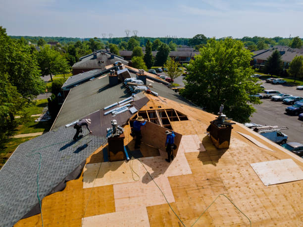 Best Commercial Roofing Services  in Dudley, NC