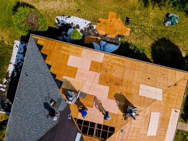 Best Metal Roofing Contractor  in Dudley, NC